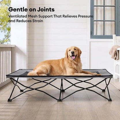 Foldable Elevated Dog Bed Portable Cooling Dog Cot for Camping - Urban Roaming