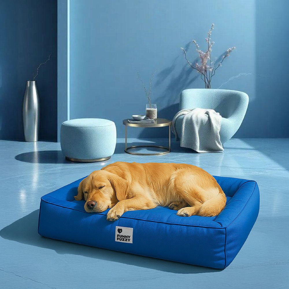 Fully Orthopedic Surround Support Waterproof Large Outdoor Dog Bed