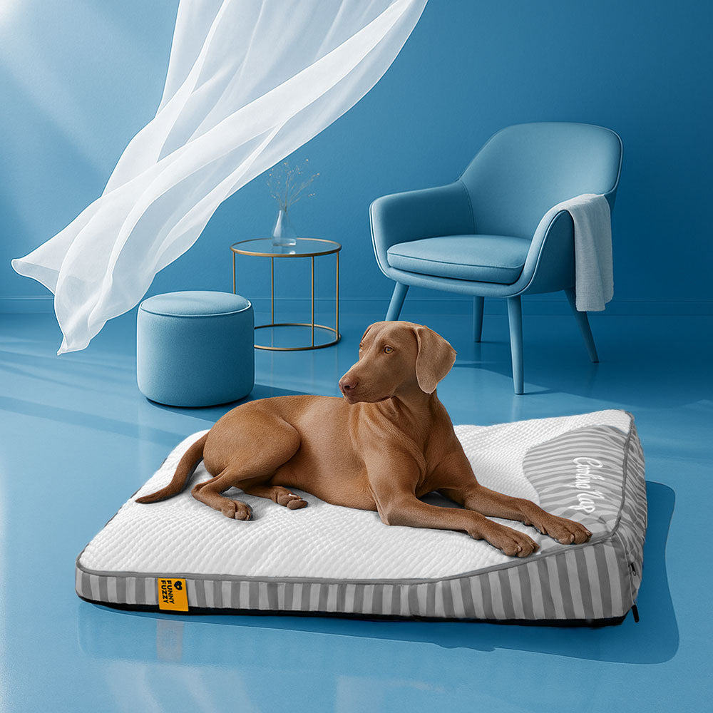 Extra Large Cooling Washable Rectangle Orthopedic Dog Bed - Home Office