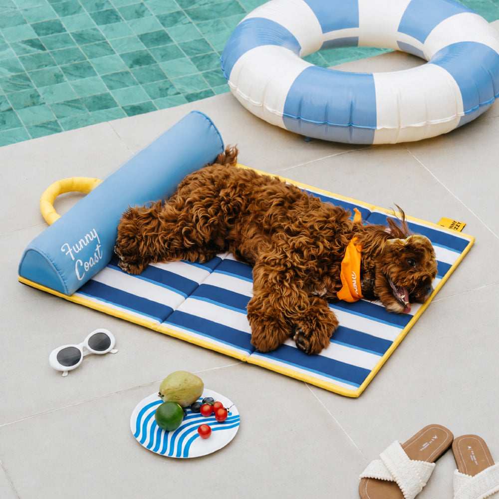 Portable Cooling Dog Mat - Chill Nest