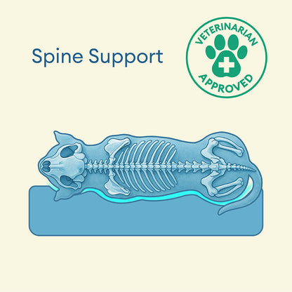 Fully Orthopedic Surround Support Waterproof Large Outdoor Dog Bed