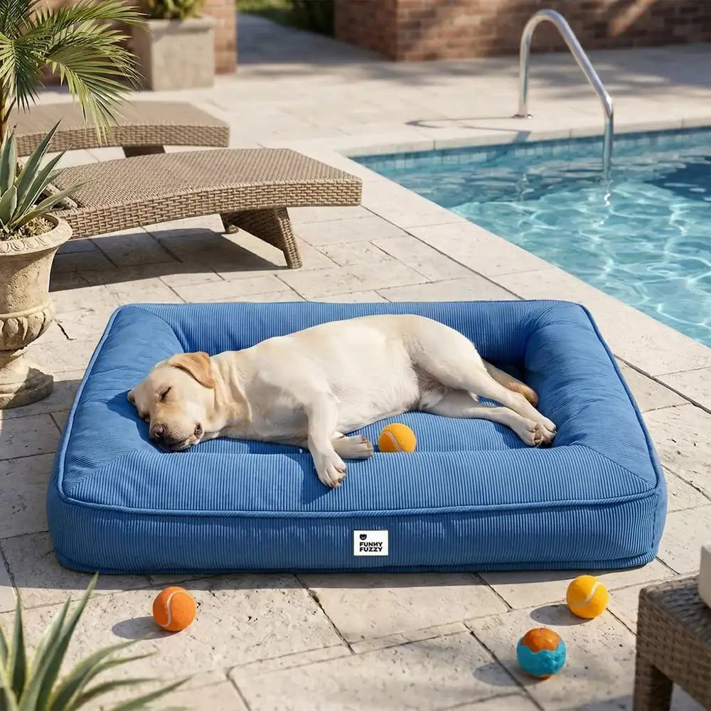 Fully Orthopedic Surround Support Waterproof Large Outdoor Dog Bed