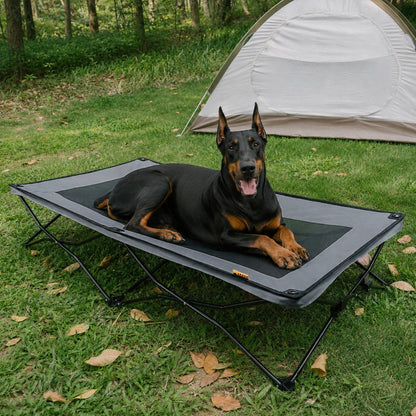 Foldable Elevated Dog Bed Portable Cooling Dog Cot for Camping - Urban Roaming