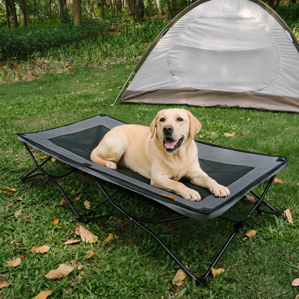 Foldable Elevated Dog Bed Portable Cooling Dog Cot for Camping - Urban Roaming