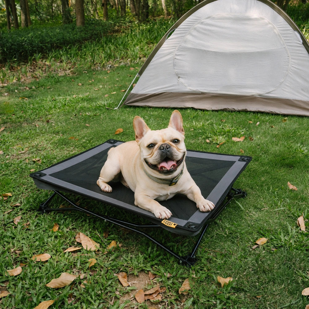 Foldable Elevated Dog Bed Portable Cooling Dog Cot for Camping - Urban Roaming