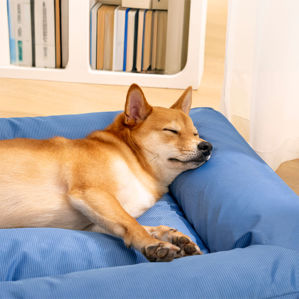 Fully Orthopedic Surround Support Waterproof Large Outdoor Dog Bed