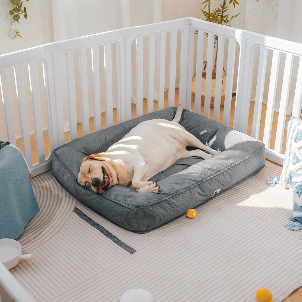 Fully Orthopedic Surround Support Waterproof Large Outdoor Dog Bed