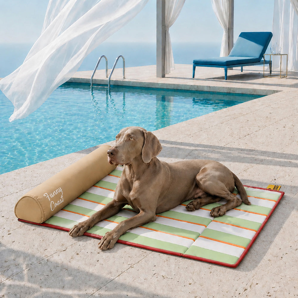 Portable Cooling Dog Mat - Chill Nest
