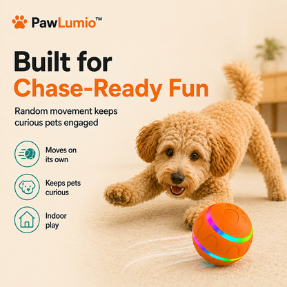 PawLumio™ GlowZoom Ball – Interactive LED Dog Toy
