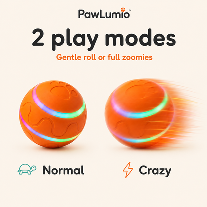 PawLumio™ GlowZoom Ball – Interactive LED Dog Toy