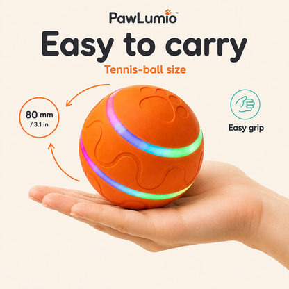 PawLumio™ GlowZoom Ball – Interactive LED Dog Toy