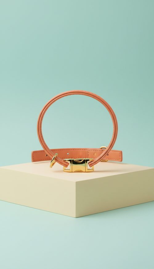 Pet Collar in Peach Pop Colorway